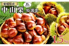 中山栗 特選栗 3Lサイズ 1.5kg 愛媛県ブランド 栗 クリ 冷蔵便 濃厚な甘み ホクホク 焼き栗 栗ごはん 中山町 伊予市 愛媛｜B466