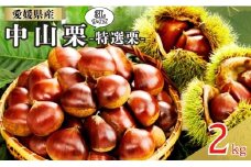 中山栗 特選栗 3Lサイズ 2kg 愛媛県ブランド 栗 クリ 冷蔵便 濃厚な甘み ホクホク 焼き栗 栗ごはん 中山町 伊予市 愛媛｜C144