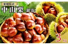 中山栗 銀寄 2Lサイズ 3kg 愛媛県ブランド 栗 クリ 冷蔵便 濃厚な甘み ホクホク 焼き栗 栗ごはん 中山町 伊予市 愛媛｜D66