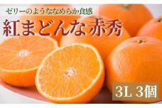 【2025年11月下旬から順次発送】みかん 愛媛 愛媛県産 紅まどんな 赤秀 3個入り 人気 数量限定 柑橘 伊予市｜B123