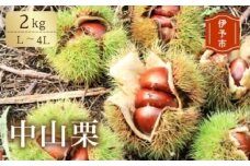 中山栗 L～4Lサイズ 2kg 愛媛県ブランド 大粒 濃厚な甘み ホクホク 焼き栗 栗ごはん 中山町 伊予市 愛媛 | B424