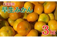 早生みかん 3kg ご家庭用 農園直送 先行予約 【11月以降順次発送予定】 愛媛 数量限定 愛媛県産 人気 柑橘 伊予市｜ A99