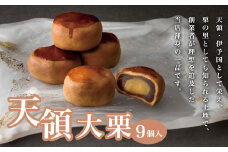 天領大栗 9個入り