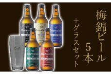 梅錦 ビール 5本 グラス セット 330ml うめにしき 5種 お歳暮 ギフト 飲み比べ ピルスナー ボック アロマティックエール ヴァイツエン ブロンシュ ふるさと納税 送料無料 【四国中央市 紙のまち 日本一】