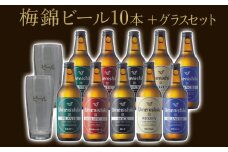 梅錦 ビール 10本 グラス セット 330ml うめにしき 5種 お歳暮 ギフト 飲み比べ ピルスナー ボック アロマティックエール ヴァイツエン ブロンシュ ふるさと納税 送料無料 【四国中央市 紙のまち 日本一】