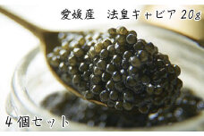 キャビア  20g CAVIAR caviar 4個 セット チョウザメ ベステル 魚卵 桐箱入り 高級 冷凍 限定 ギフト ふるさと納税 送料無料 【四国中央市 紙のまち 日本一】