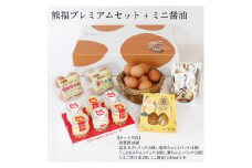 セット 卵 たまご タマゴ プリン ぷりん 醤油 たまご焼き 熊福 プレミアム ギフト 美豊卵 温泉卵 ふるさと納税 送料無料 【四国中央市 日本一 紙のまち】