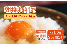 【3か月定期便】 たまご 卵 美豊卵 熊福 30個 定期便 玉子 タマゴ 鶏卵 オムレツ 卵かけご飯 朝食 料理 人気 たまご焼き TKG たまごかけごはん エッグ ふるさと納税 送料無料 【四国中央市 日本一 紙のまち】