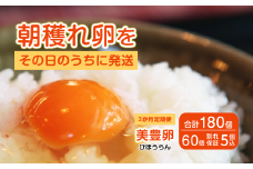 【3か月定期便】たまご 卵 美豊卵 熊福 60個 定期便 玉子 タマゴ 鶏卵 オムレツ 卵かけご飯 朝食 料理 人気 たまご焼き TKG たまごかけごはん エッグ ふるさと納税 送料無料 【四国中央市 日本一 紙のまち】