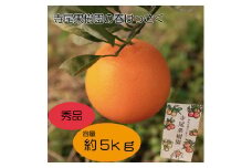 キナリ完熟「春はっさく」　秀品　5kg(土居町天満産)