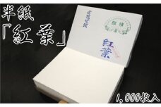 たくさん練習！たっぷり半紙