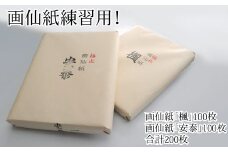 画仙紙練習用！