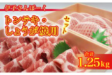トンテキ しょうが焼 セット 豚 肉 ロース 冷蔵 チルド 伊予さんぽーく 1250g 1.25kg 【四国中央市 紙のまち 日本一】