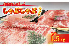 しゃぶしゃぶ 豚しゃぶ セット 豚 肉 冷蔵 チルド バラ ロース 1500g 1.5kg 伊予さんぽーく 【四国中央市 紙のまち 日本一】