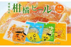愛媛県産柑橘ピール4種　24袋入　360g