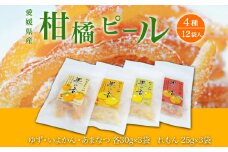 愛媛県産柑橘ピール4種『果の香』　12袋入　345g