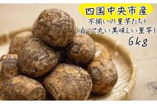 四国中央市産 不揃いの里芋たち！（白くて丸い美味しい里芋）6kg