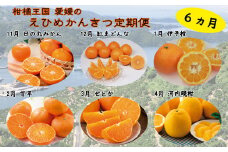 えひめかんきつ定期便【11月～4月】