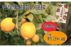 檸檬 特秀品3kg（土居町天満産）