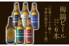梅錦 ビール 6本 セット 330ml うめにしき 6種 お歳暮 ギフト 飲み比べ 季節 限定 ピルスナー ボック アロマティックエール ヴァイツエン ブロンシュ ふるさと納税 送料無料 【四国中央市 紙のまち 日本一】