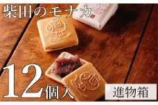モナカ 最中 12個入 和菓子 柴田 柴田のモナカ 小豆 もなか ギフト 【四国中央市 紙のまち 日本一】