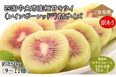 【25年8月受付開始】＜10月下旬以降発送＞【訳あり・ご自宅用】レインボーレッドキウイ（四国中央市産レインボーレッド） M サイズ 約850g（9個～11個）