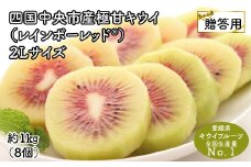【25年8月受付開始】＜10月下旬以降発送＞【お歳暮・贈答用・黒箱】レインボーレッドキウイ（四国中央市産レインボーレッド）2Lサイズ 約1kg（約8個）