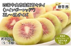 【25年8月受付開始】＜10月下旬以降発送＞【お歳暮・贈答用・黒箱】レインボーレッドキウイ（四国中央市産レインボーレッド）3L～4Lサイズ 約800g（約5～6個）