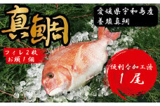 愛媛県産養殖真鯛フィレ2枚(お頭付き冷凍)