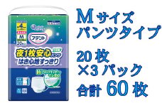 アテント夜１枚安心パンツはき心地すっきり男女共用M20枚 アテント エリエール 大人 紙 パンツ ぱんつ うす型 さらさら 20枚 3パック 通気性 プラス Ｍサイズ 男女 防災 備蓄品 ふるさと納税 送料無料 【四国中央市 日本一 紙のまち】