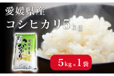 米 こめ お米 おこめ コシヒカリ こしひかり 5kg 白米 ごはん 四国中央市 愛媛県 おいしい ふっくら 【四国中央市 紙のまち 日本一】