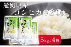 米 こめ お米 おこめ コシヒカリ こしひかり 20kg 白米 ごはん 四国中央市 愛媛県 おいしい ふっくら 【四国中央市 紙のまち 日本一】
