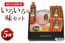 ＜城川自然牧場 いろいろな味セット 5種＞ サラミ ベーコン 粗挽きウインナー ペッパーウインナー 豚肉 牛肉 国産 加工品 詰め合わせ 贈答用 城川ファクトリー 愛媛県 西予市【冷蔵】『1か月以内に順次出荷予定』