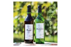 ＜光ワイン（「赤」「白」各1本セット）＞　　酒　アルコール　乾杯　飲み比べ　お祝い　光農場
