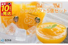 ＜じゅれギフト 5個セット＞ 飲むゼリー 果物 みかん 伊予柑 温州 柑橘 ジュレ デザート おやつ スイーツ あけはまシーサイドサンパーク 飲んで応援 贈答用 愛媛県西予市【常温】『最短10営業日以内に順次発送予定』