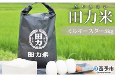 令和６年産　田力米（ミルキースター）５kg