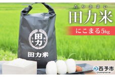 令和7年産 田力米（にこまる）5kg
