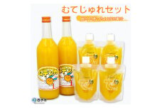むてじゅれセット