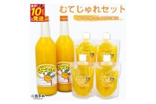 むてじゅれセット
