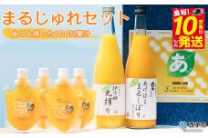 ＜まるじゅれセット MJ-1＞ 温州みかん いよかん ミカン 飲むゼリー ジュレ オレンジ ジュース デザート スイーツ あけはまシーサイドサンパーク 贈答用 愛媛県 西予市【常温】『最短10営業日以内に順次発送予定』