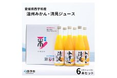 愛媛県西宇和産温州みかん・清見ジュース6本セット