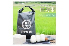 令和7年産 田力米（コシヒカリ）10kg