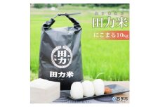 令和7年産 田力米（にこまる）10kg