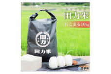 令和7年産 田力米（にこまる）10kg