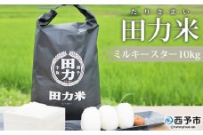 令和６年産　田力米（ミルキースター）10kg