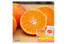 宇和のマドンナ　2L～3L寸（数量限定）