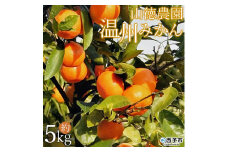 山徳農園「温州みかん」５kg（数量限定）