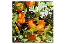 山徳農園「温州みかん」10kg（数量限定）