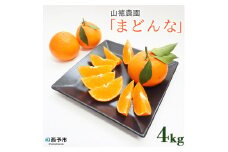 紅まどんなと同品種！＜山徳農園「まどんな」 約4kg＞  愛媛果試第28号 果物 くだもの マドンナ みかん ミカン 蜜柑 柑橘類 フルーツ 食べて応援 特産品 産地直送 西宇和 愛媛県 西予市【常温】