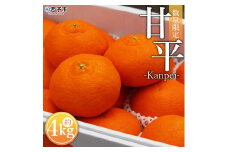 ＜愛媛県西予市産 甘平 約4kg＞ フルーツ 果物 柑橘 かんぺい みかん ミカン 蜜柑 贈答用 化粧箱 ギフト対応 南予園芸 特産品 愛媛県 西予市